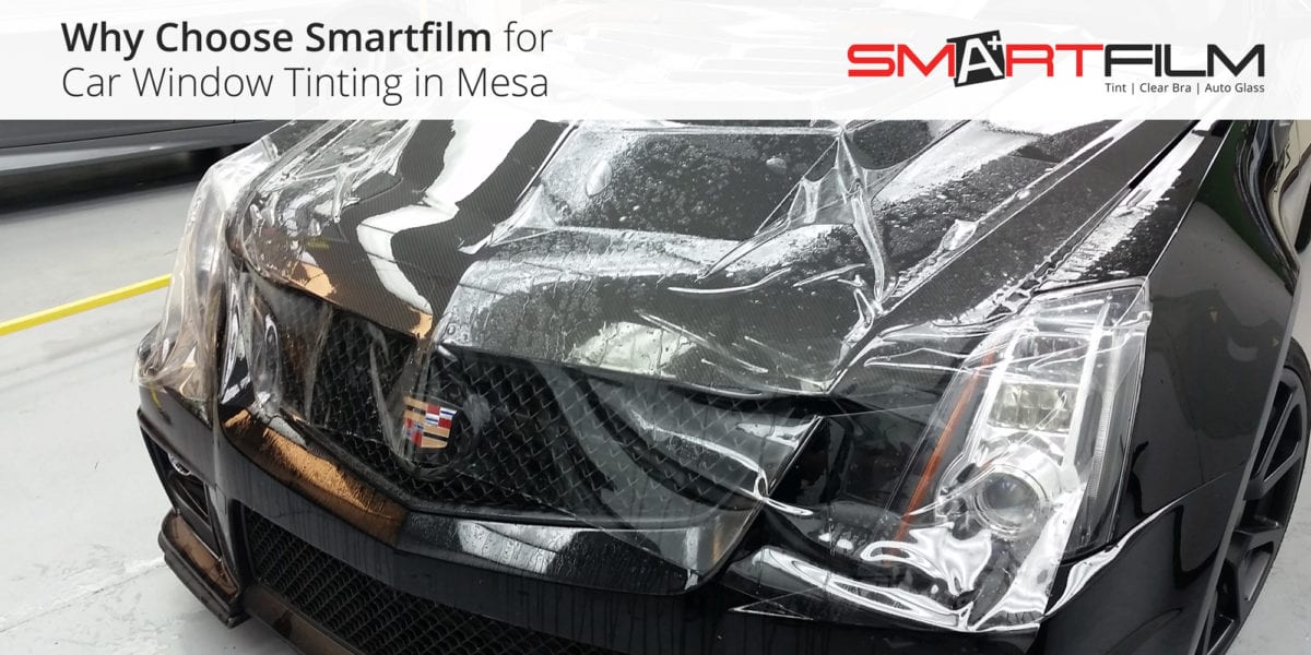 Paint Protection Film for the Winter